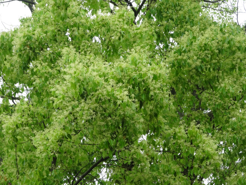 Dsc09308