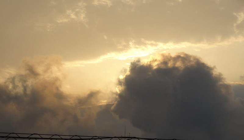 1dsc09409