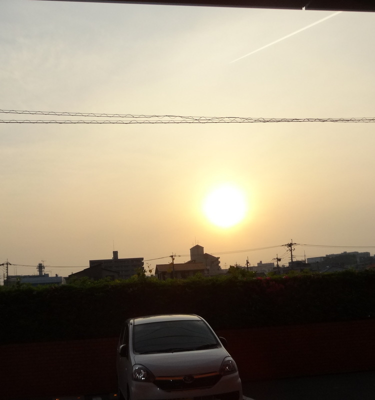 1dsc09525