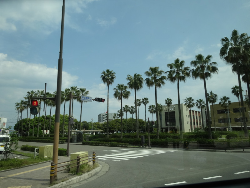 Dsc09553