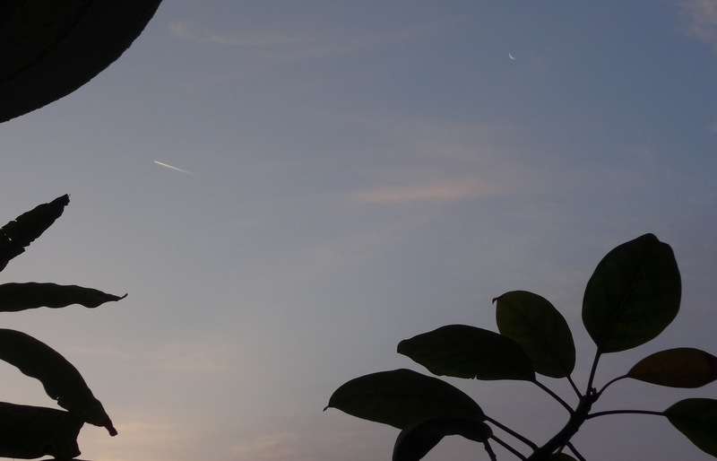 1dsc09587