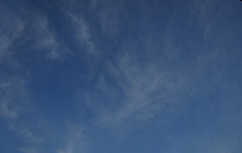 1dsc09602_2