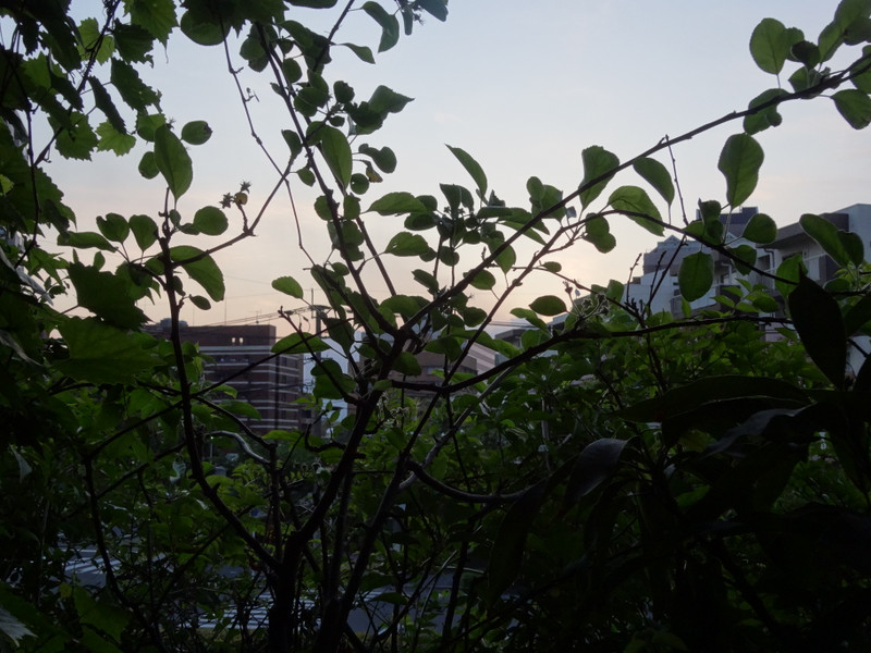 Dsc09578