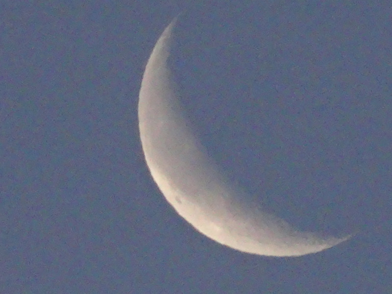 Dsc09580