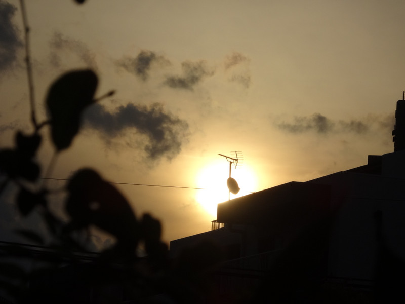 Dsc09647