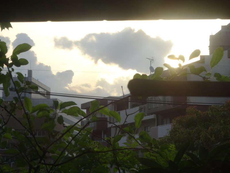 Dsc09660_2