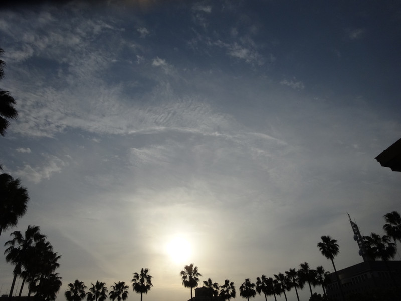 Dsc09697