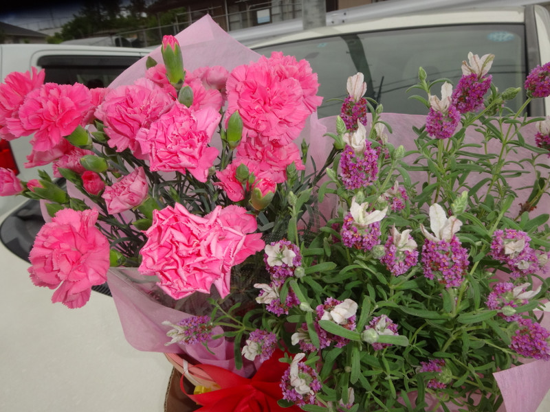 Dsc09934 Dsc09934