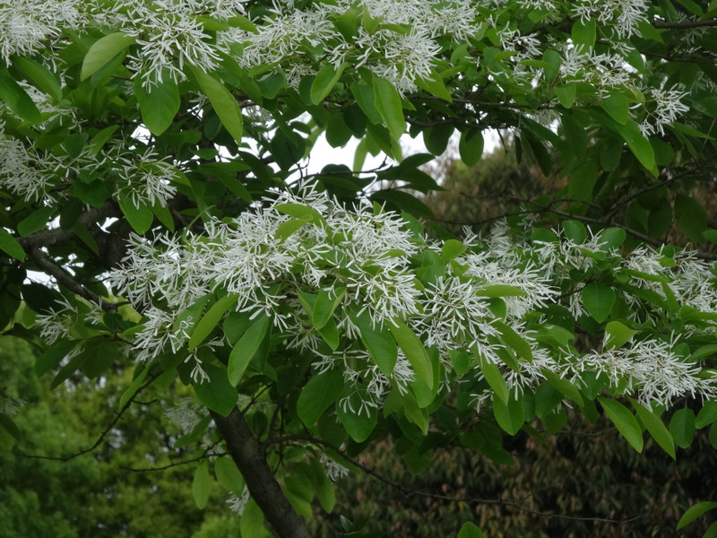 Dsc09983_2