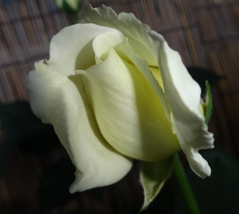 1dsc00043