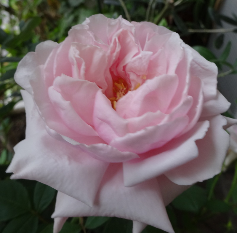 1dsc00049