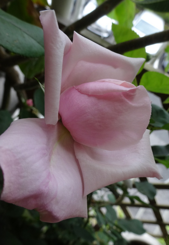 1dsc00050