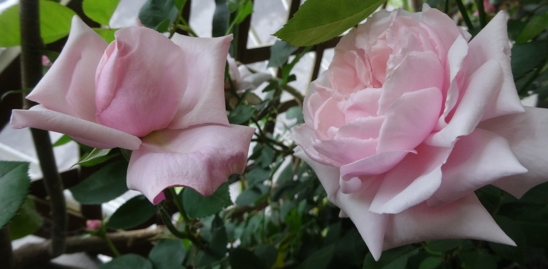 1dsc00051
