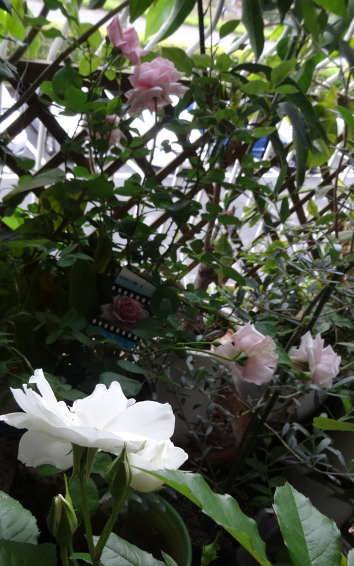 1dsc00059