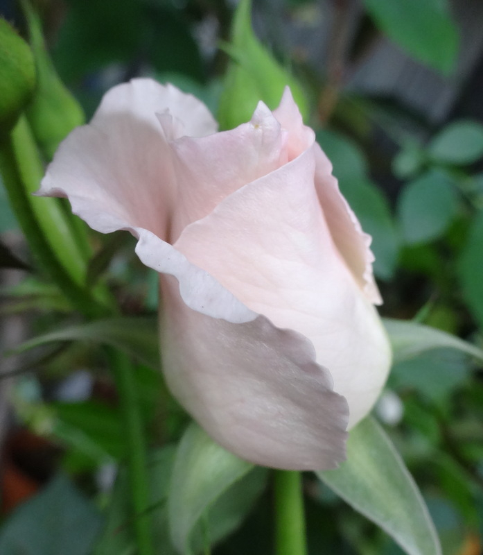 1dsc00060
