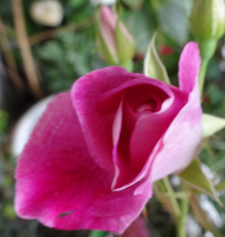 1dsc00117