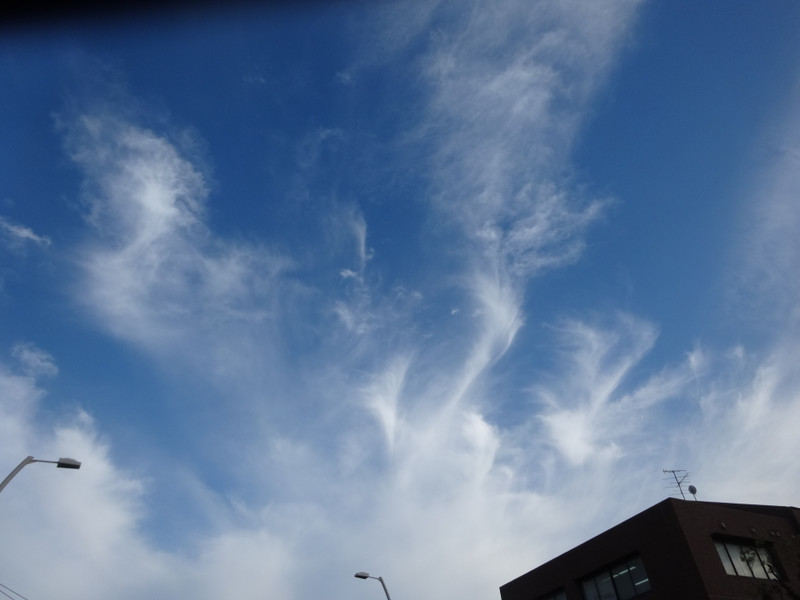 Dsc00115