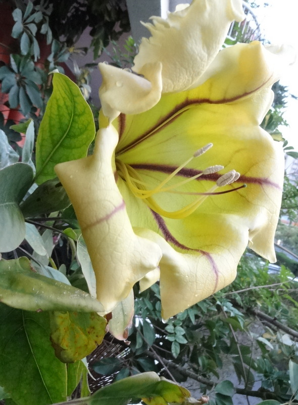 1dsc00124
