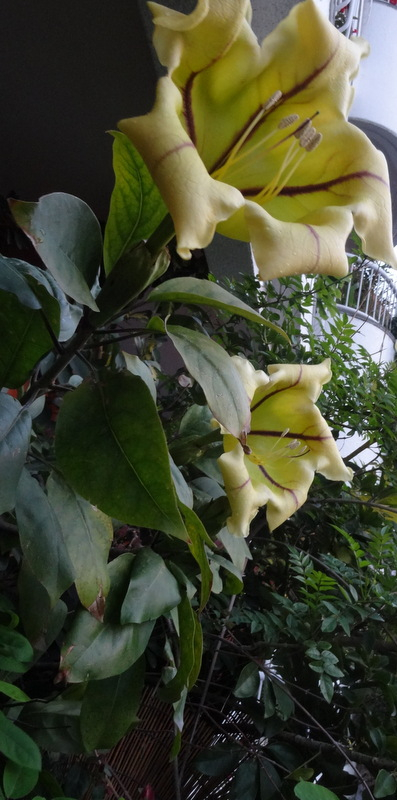 1dsc00127001