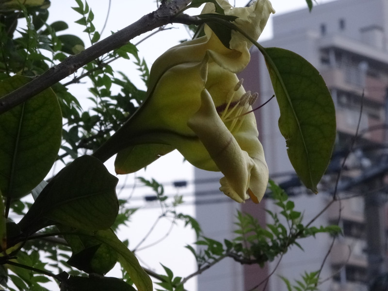 Dsc00120
