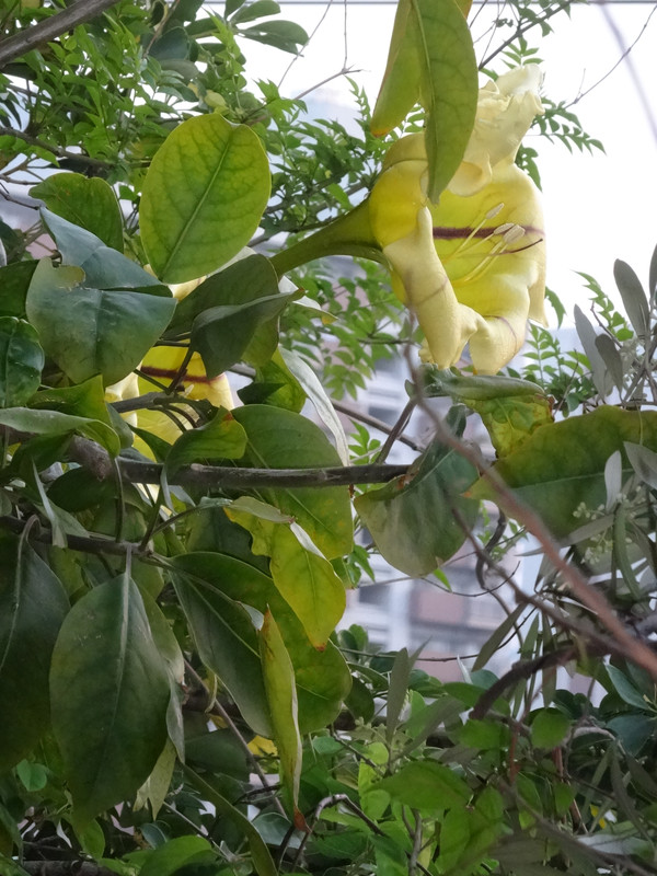 Dsc00145
