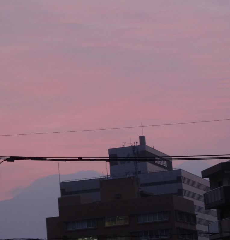 1dsc08888