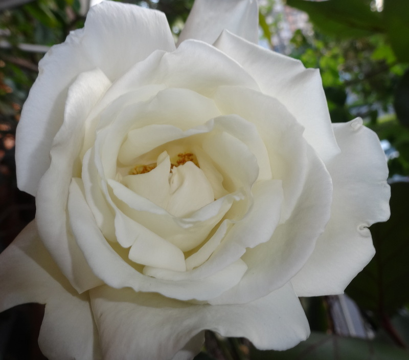 1dsc08599