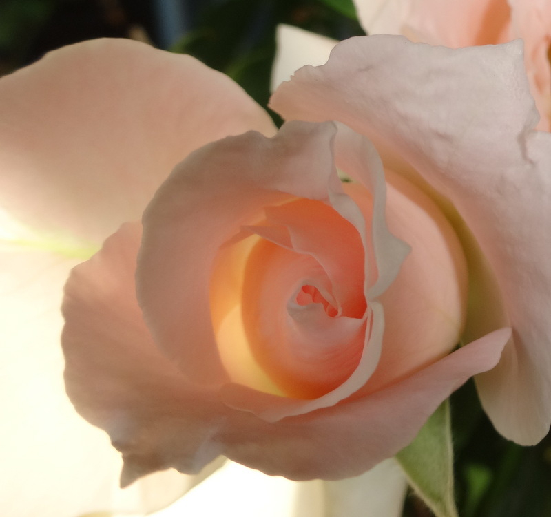 1dsc09102