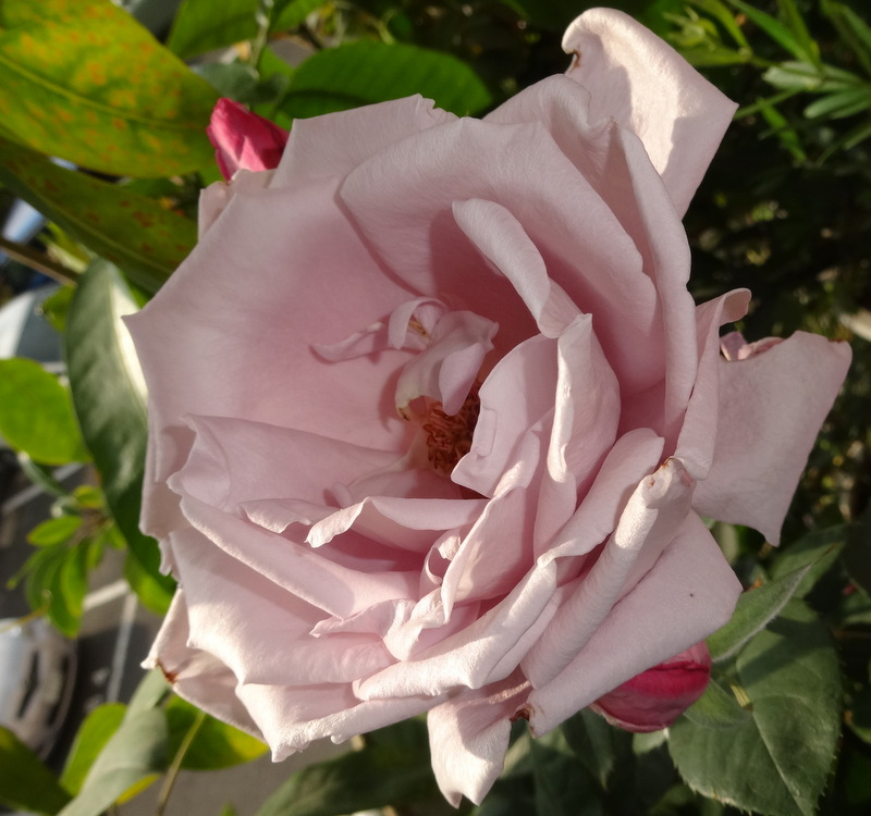 1dsc09119001