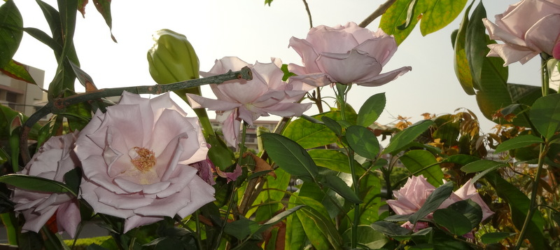 1dsc09120001