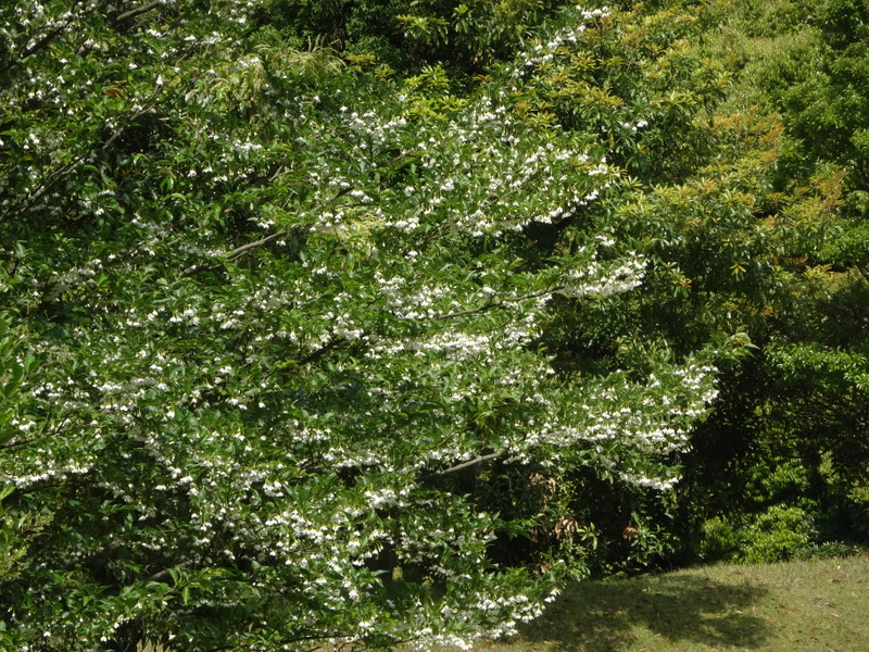 Dsc09130001