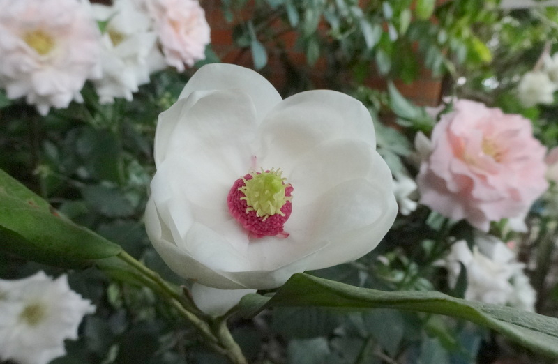 1dsc09232001