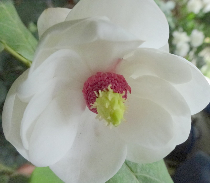 1dsc09235001