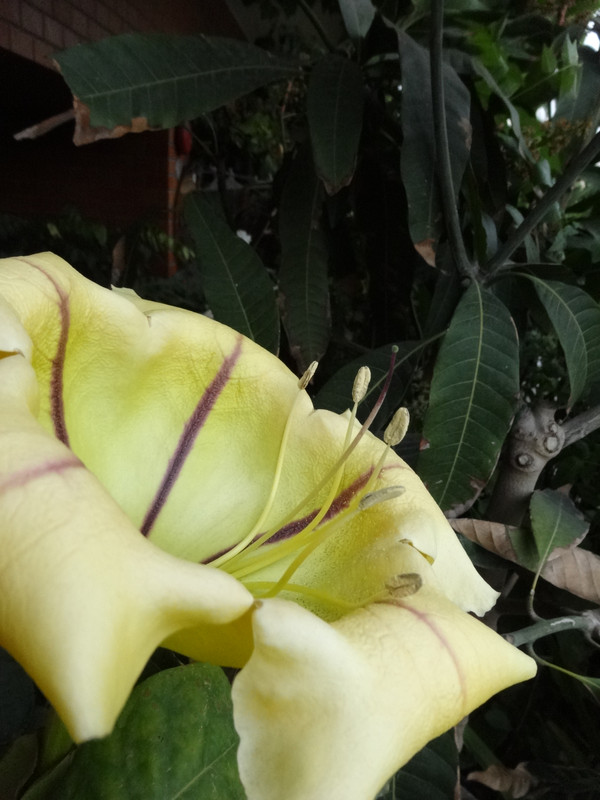 Dsc09217001