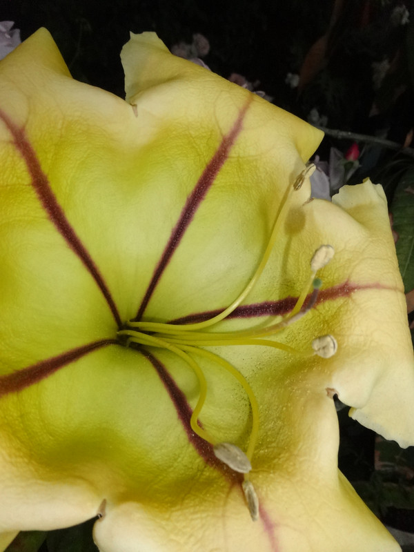 Dsc09221001
