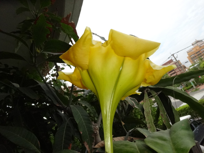 Dsc09222001