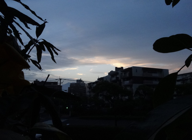 1dsc09347001