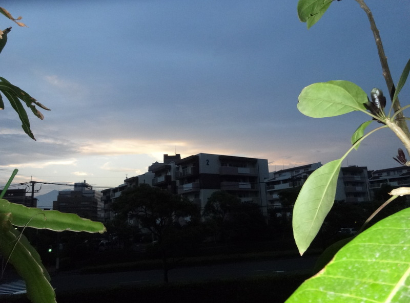 1dsc09352001