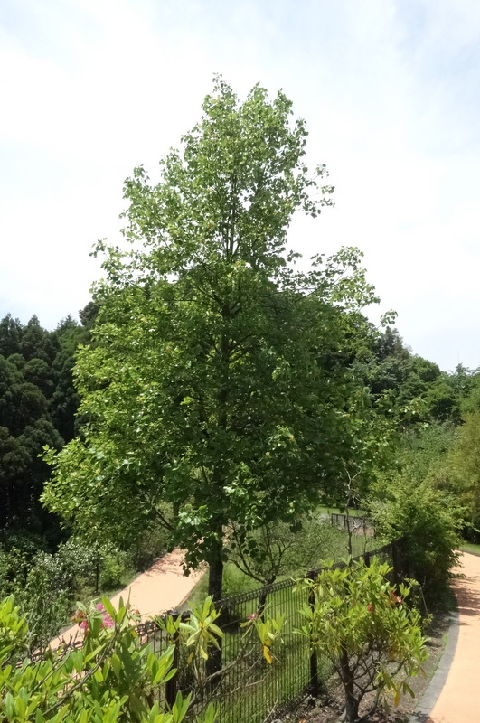 1dsc09406001