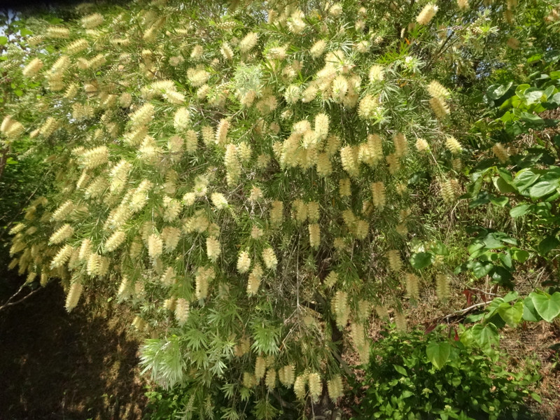 Dsc09394001