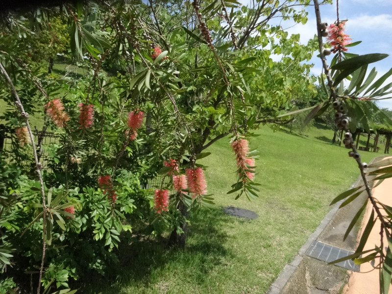Dsc09404001