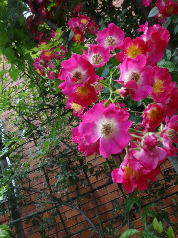 Dsc09428001