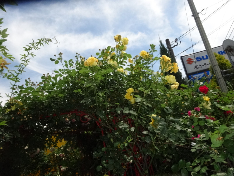 Dsc09434001