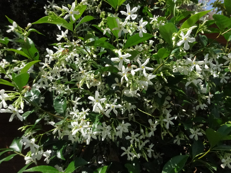 Dsc09459001