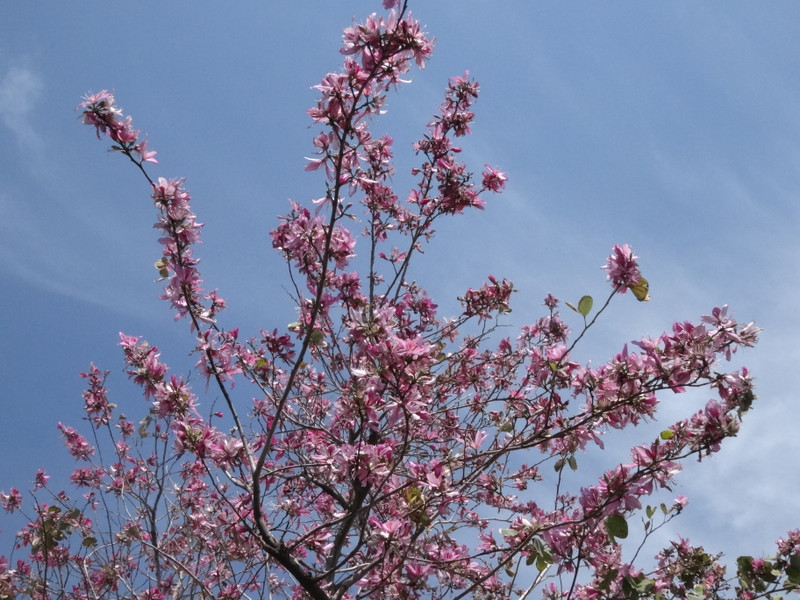 Dsc09460001
