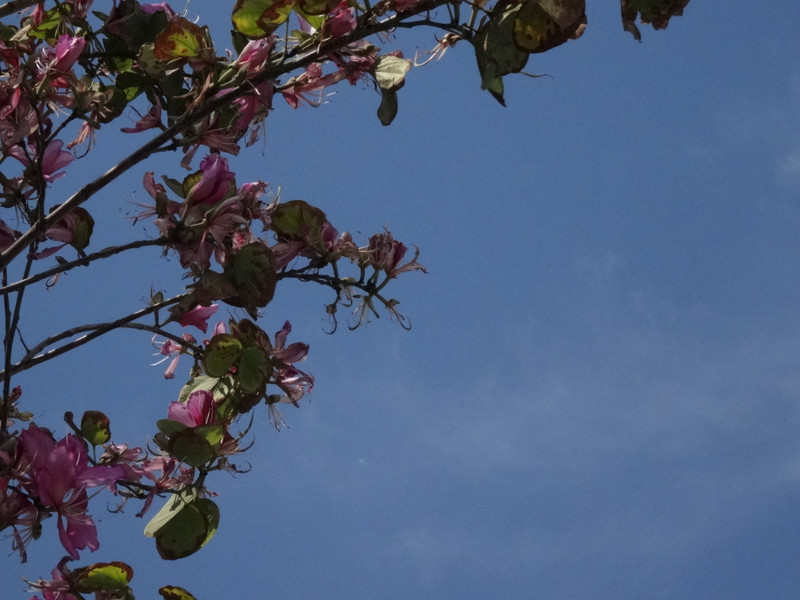Dsc09463001