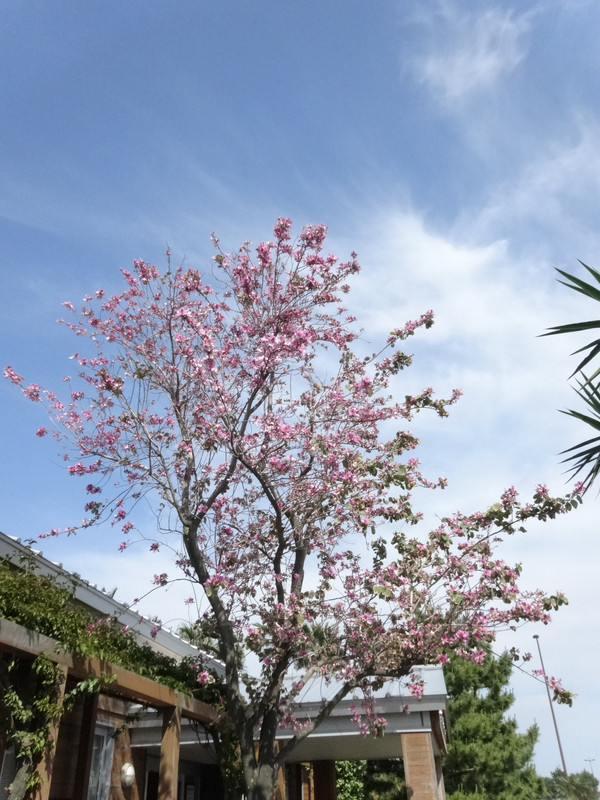 Dsc09469001