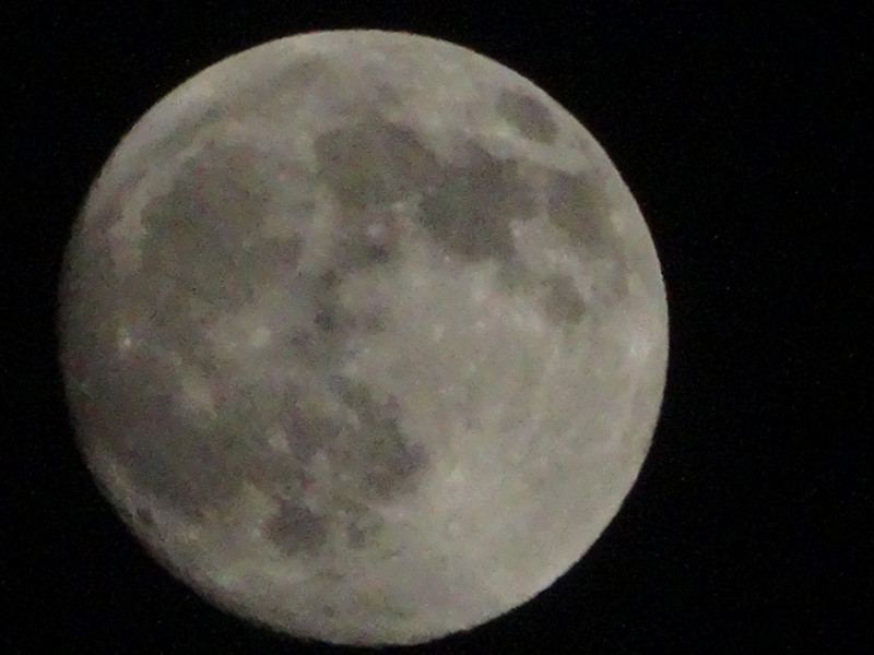 Dsc09490