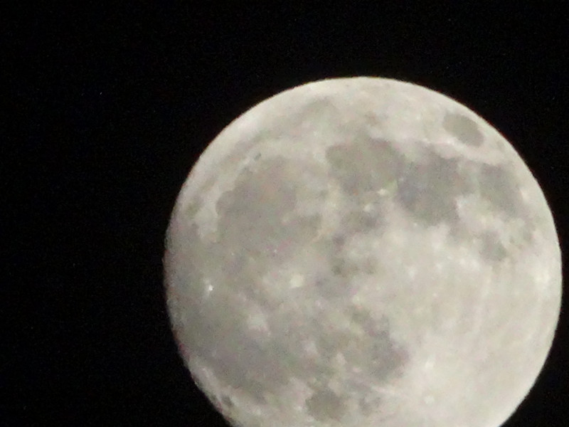 Dsc09491