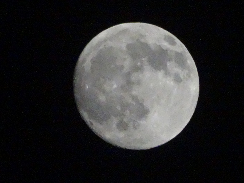 Dsc09492